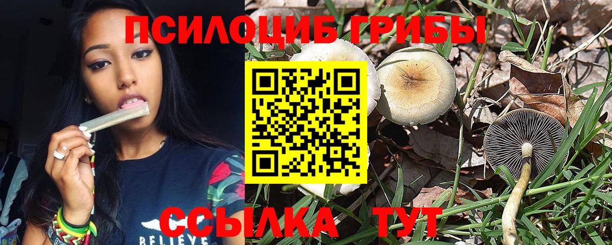 Псилоцибиновые грибы мухоморы Вичуга