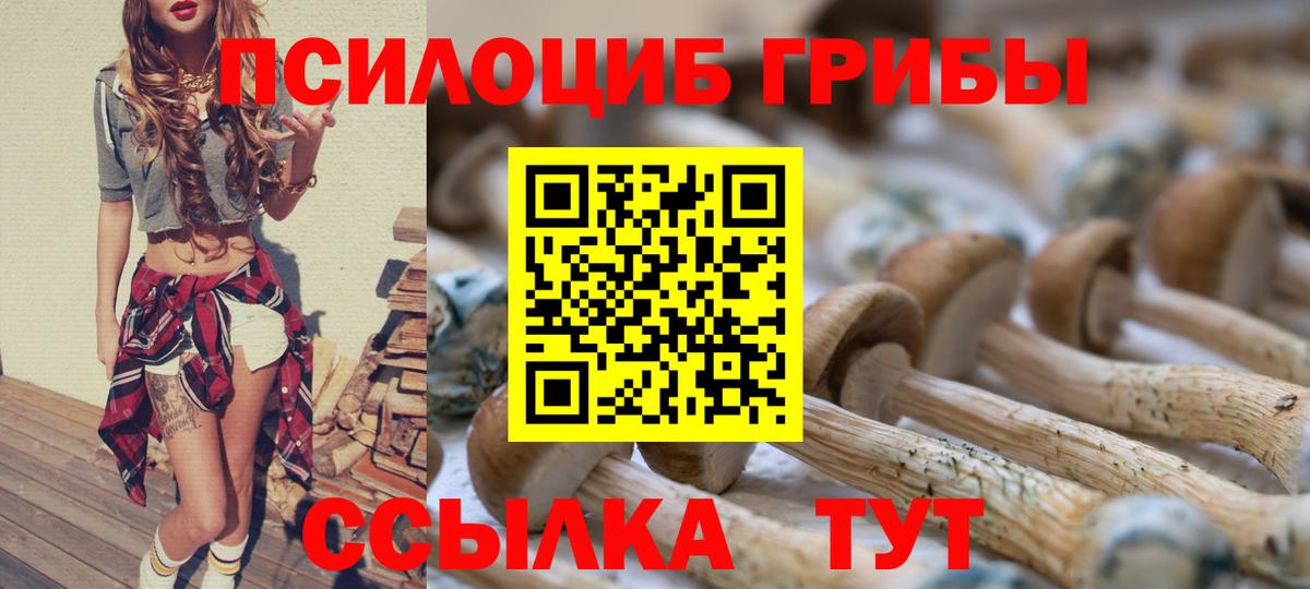 Галлюциногенные грибы GOLDEN TEACHER  Вход с VPN  Вичуга 
